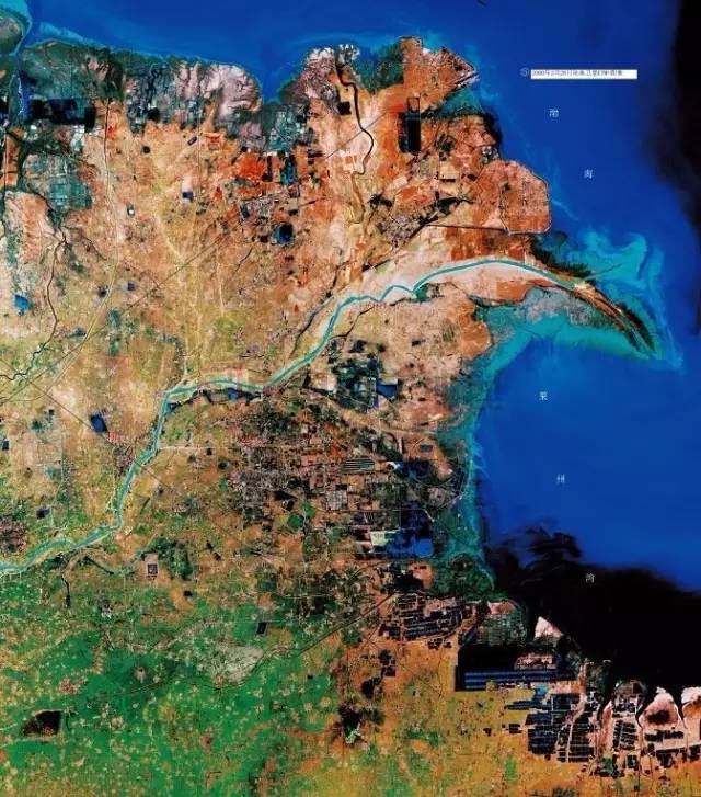 这片新造的土地正是黄河三角洲湿地它是水鸟,水生植物的天堂尤其每年