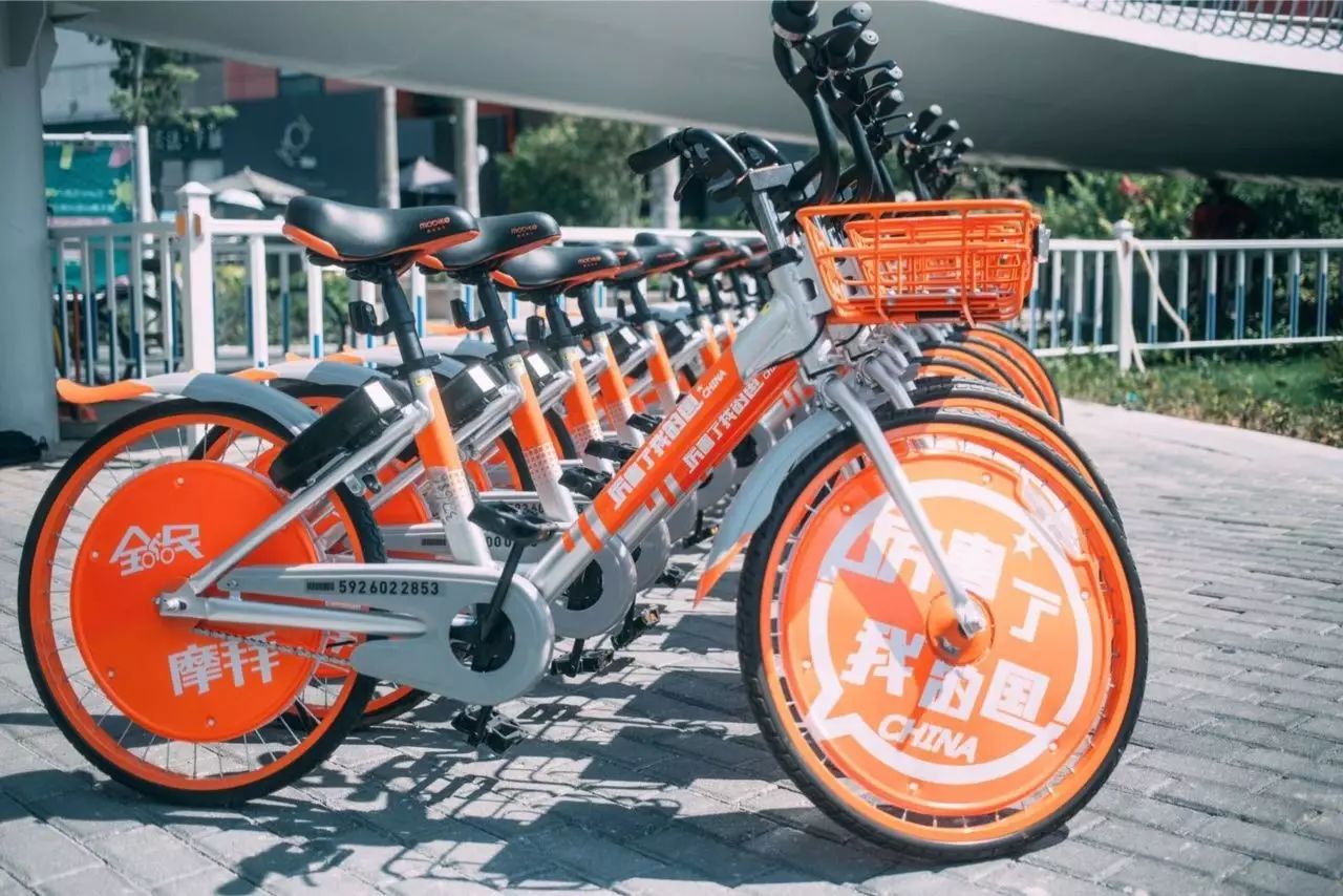 创建文明城市，建设美丽校园系列活动之整理共享单车-滁州职业技术学院