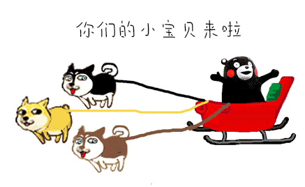 最强回复男子开车突然闻到一股焦味下车一看轮子里卡了只考拉