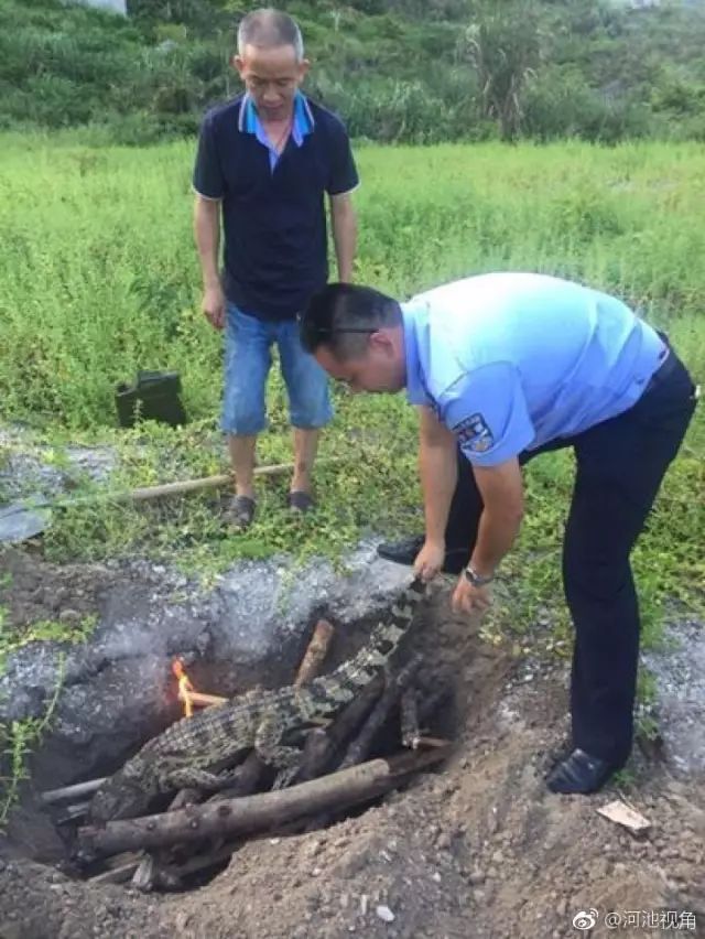 【新闻晚餐】广西公布一批领导干部任免_手机