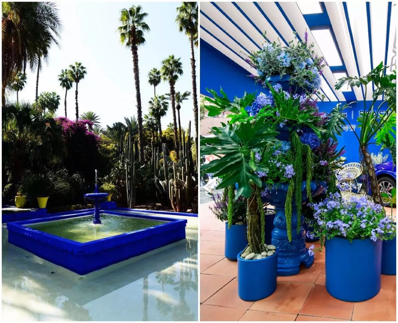 我们把摩洛哥花园搬来上海新雷克萨斯ct200h野兽派车库花园