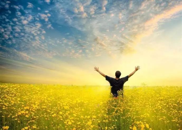 这40个神回复看完整个人都神清气爽