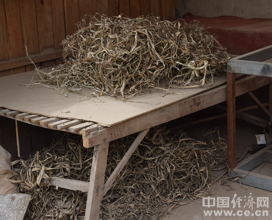 已经剥好正在晾干的桑树皮 经济日报-中国经济网 欧云海 摄