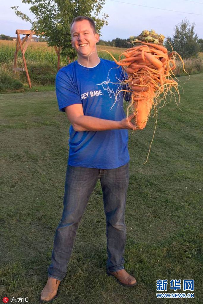 近年来一直在自家菜园种植巨型蔬菜,这次,他长出了世界最大胡萝卜,重