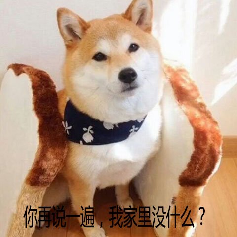 是谁想出了割声带这个馊主意?|一只狗狗的自白