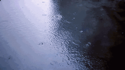 427_240gif 动态图 动图
