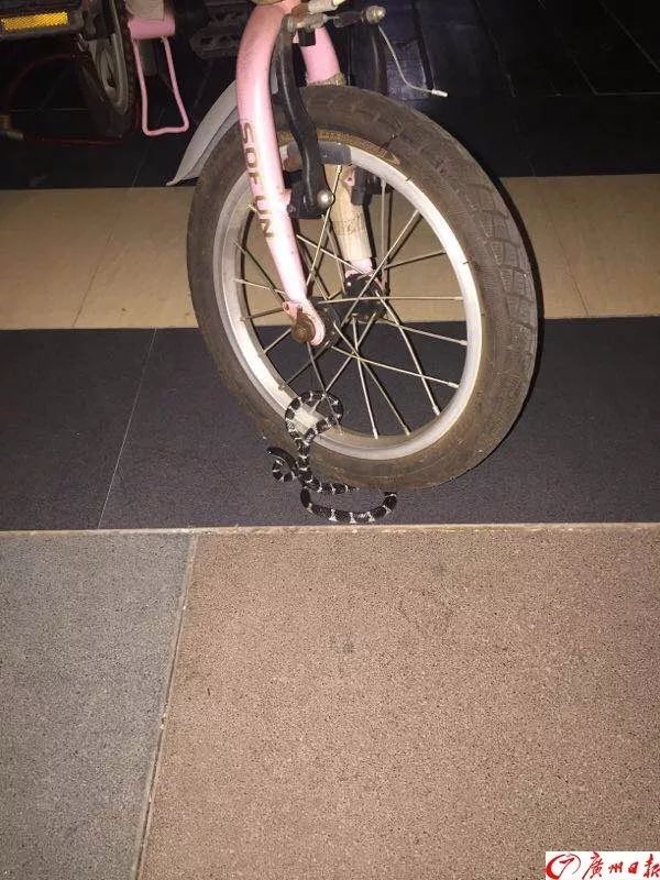 "断头"眼镜蛇居然还能咬人,女子差点因此丧命!