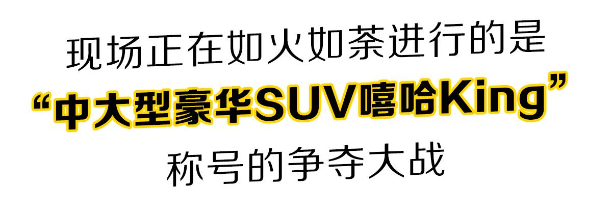 才发现原来TA才是中大型SUV中的嘻哈King！