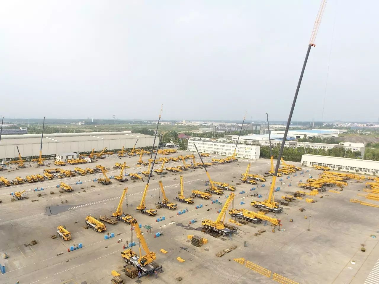 王民:要把自己放在既重要又平常的位置 | 十九大