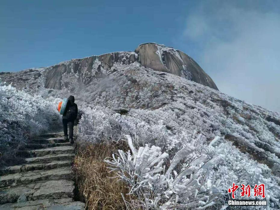 福建金饶山迎新年首场雾凇银装素裹如画卷