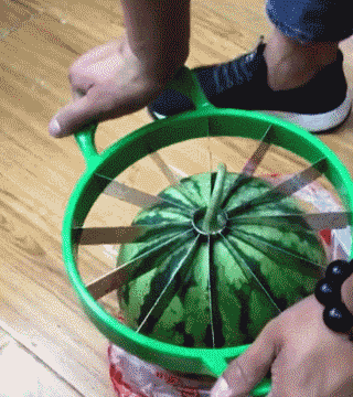 内涵段子: 一只小猴子跑到一只大猴子面前说:"大圣,大圣白骨精说你怕