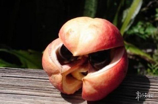 世界上最恐怖的水果图片