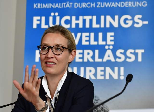 德国右翼民粹主义政党在大选中异军突起