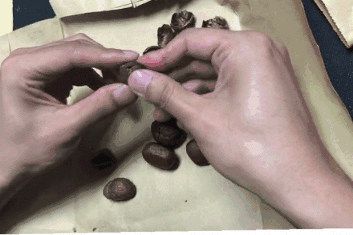剥了2斤栗子,发现还是这种剥法最好使.