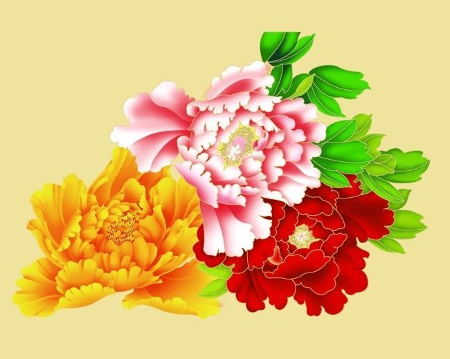 给=台=风=起名!"皮皮虾"等9个名字正式进入候选了