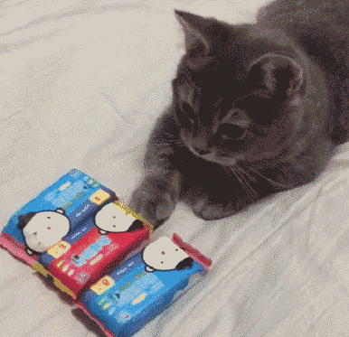 386_373gif 动态图 动图