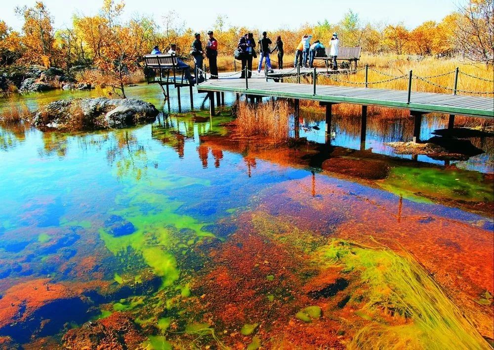 附名单|国家森林公园|原价|团购_新浪新闻