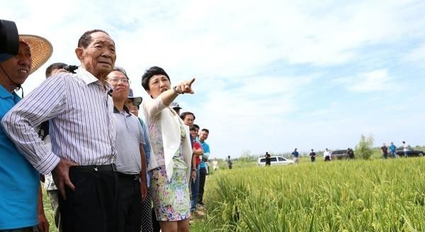 中央新闻联播袁隆平(中央新闻联播袁隆平讣告)