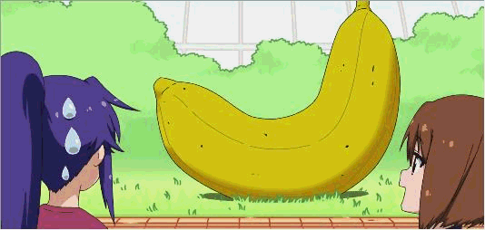 534_254gif 动态图 动图