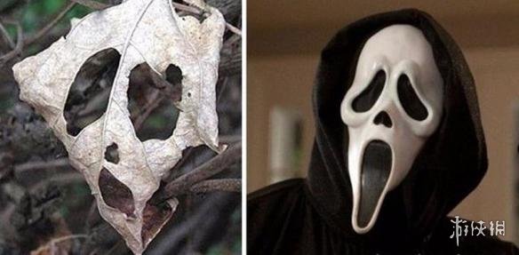 脑洞大的人看到的世界果然不一样 苦力怕是你吗?