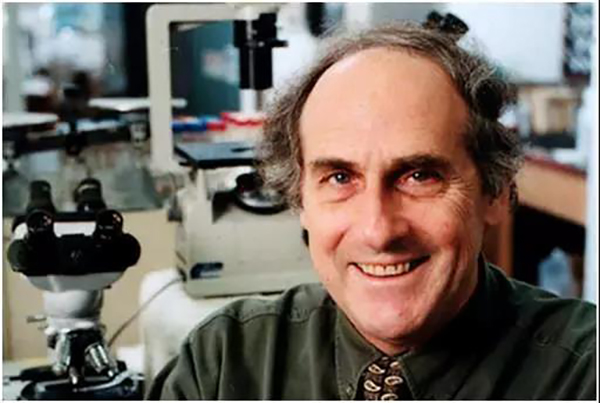 诺贝尔奖官方解读最新生理医学奖:睡觉和清醒背后的分子机制