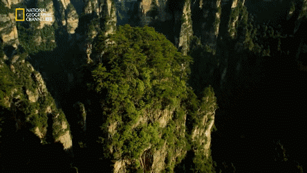 444_250gif 动态图 动图