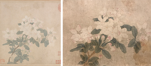 月夕赏花,故宫藏钱选《八花图卷》名目图考|钱选|故宫|赵孟頫_新浪新闻