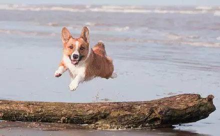 现在完全不care自己的名校央视出身,画风就跟脱缰的野狗一样,high到飞