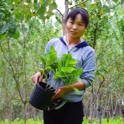 放弃几十万高薪,80后妈妈选择到嘉兴乡下种花!现在生活得.