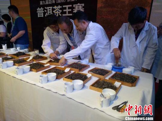 中国普洱茶第一县上演“茶王”争霸赛 吸引14余万游客|旅游|茶王|茶山|旅游|茶山_手机新浪网