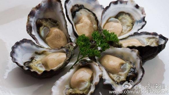 登錄查看大圖