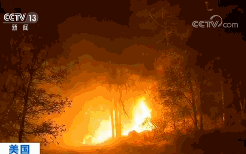 67加州北部三县进入紧急状态加利福尼亚州州长布朗9日宣布,因大火