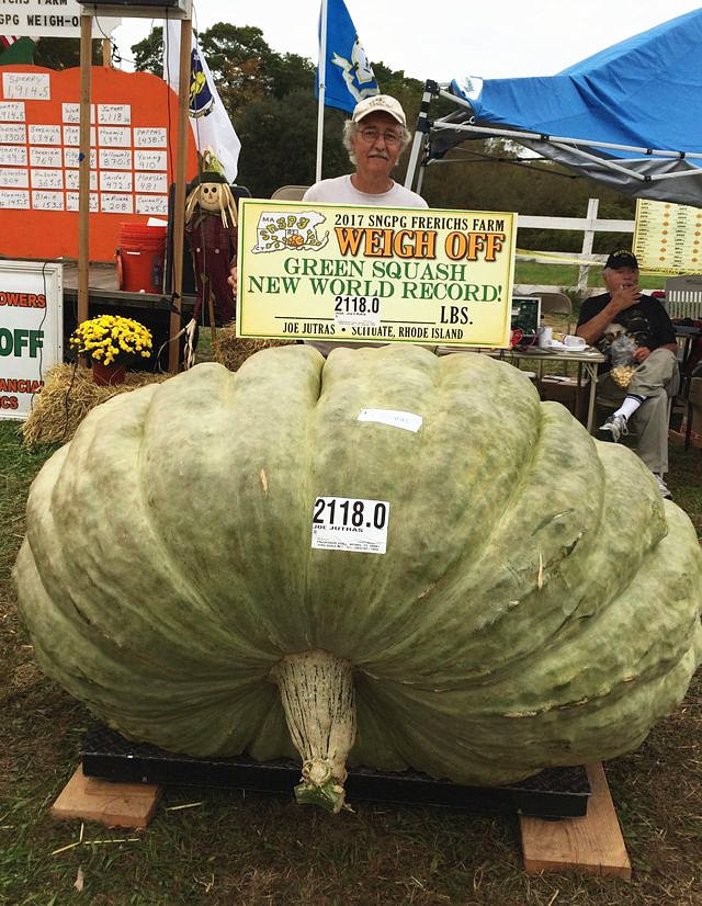 美国农民种出近1吨重南瓜|南瓜|纪录|世界纪录_新浪新闻