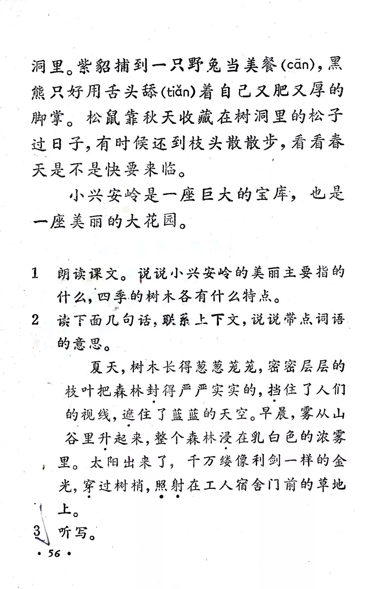 美丽的小兴安岭丨那些年我们一起读过的课文