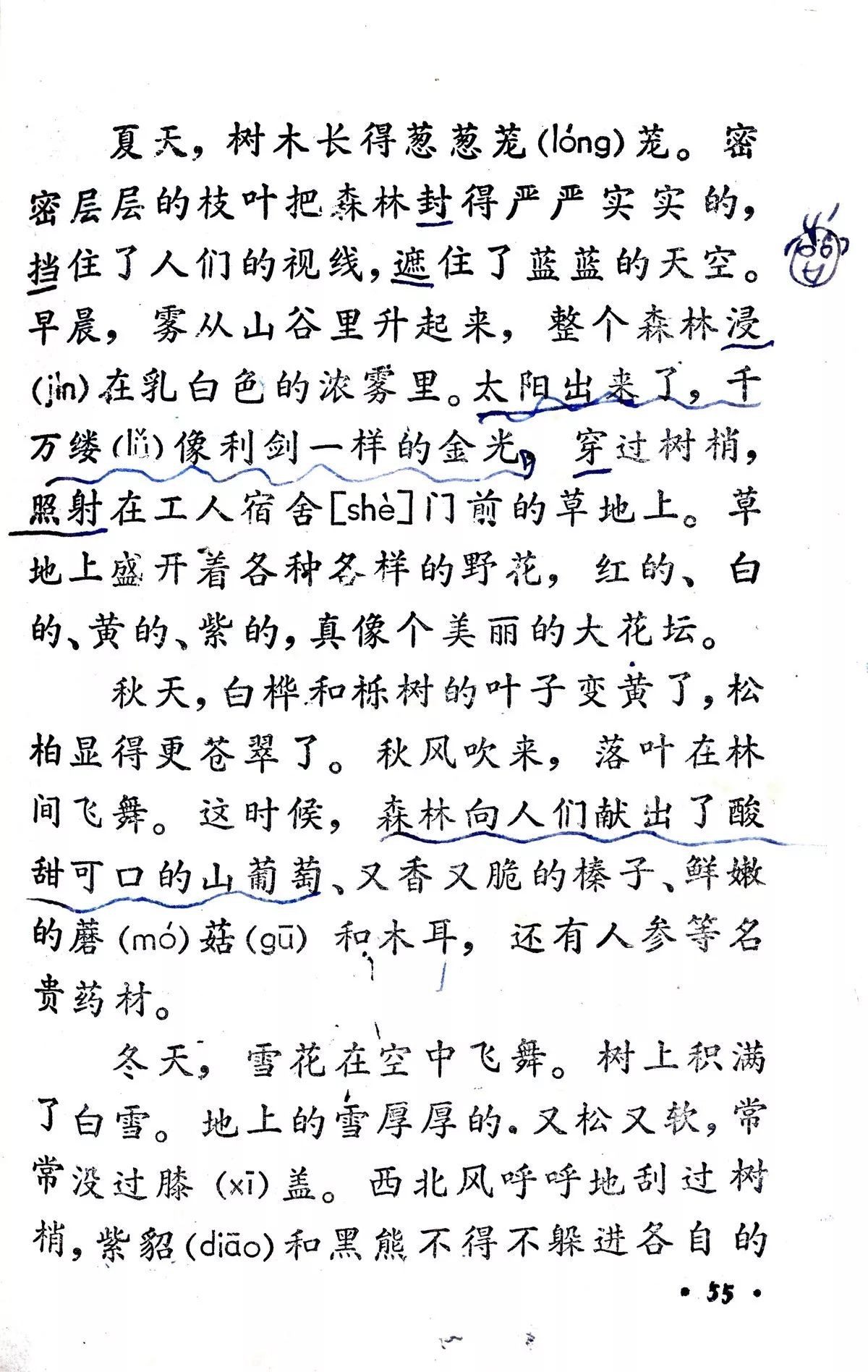 美丽的小兴安岭丨那些年我们一起读过的课文