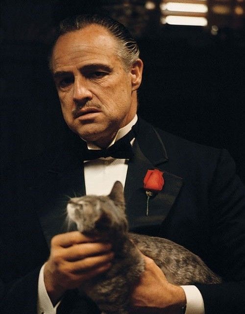 蜘蛛侠vs小贝,两个硬汉戴花,谁赢了?