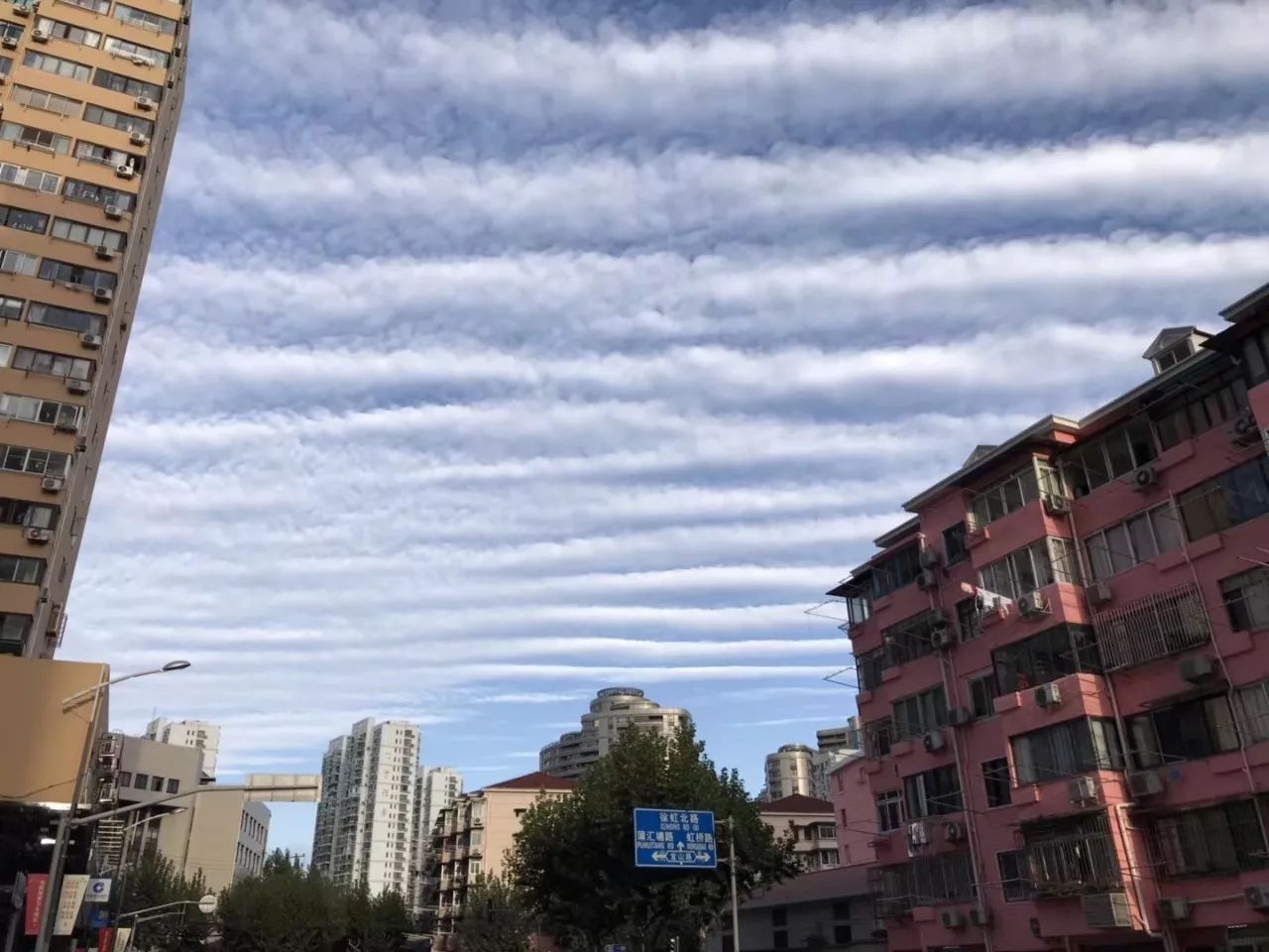 早起的上海人都在看天!看云已经看晕