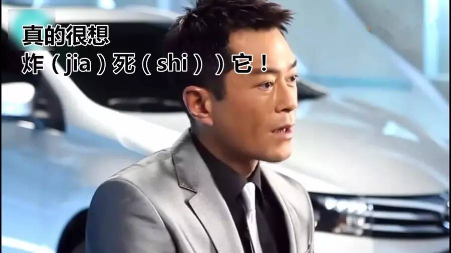 这只狗过得比我好多了每日轻松一刻10月12日晚间版