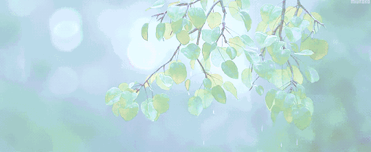 540_222gif 动态图 动图