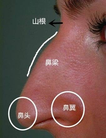 鼻整形分这么几部分:山根,鼻梁,鼻头,鼻翼.