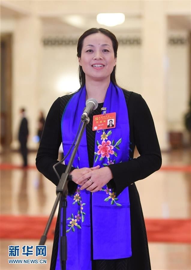 贾立群代表接受采访.新华社记者 申宏 摄