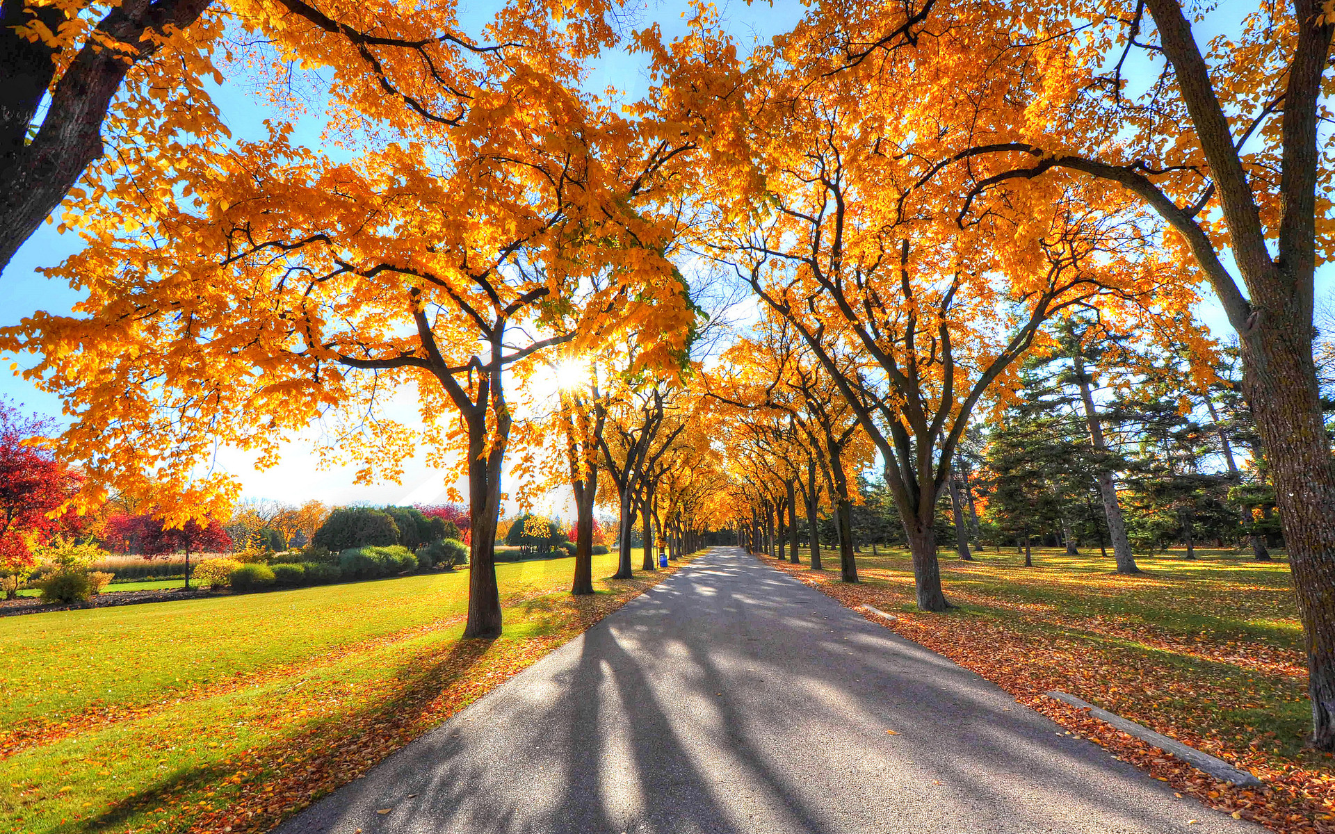 美景再美,安全第一重庆的秋天美美美!