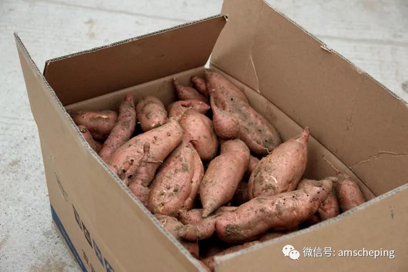 JEEP指南者带你体验纯正乡村婚礼