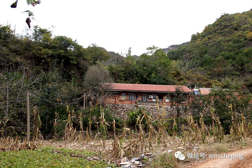 JEEP指南者带你体验纯正乡村婚礼