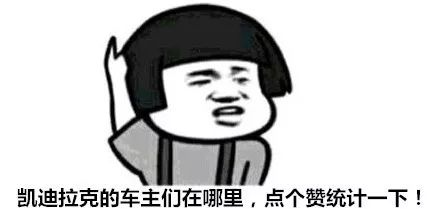 改装件真是少得可怜，来自辽宁的凯迪拉克ATS-L低趴案例