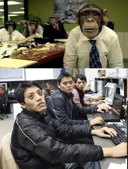 程序员日来了他们钱多话少脱发早