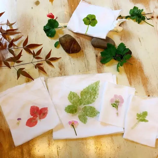 植物拓染留一些花草本真我们一起探寻自然的秘密