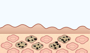 如何正确选择?|洗面奶|皮肤|油皮_新浪新闻