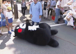 261_185gif 动态图 动图