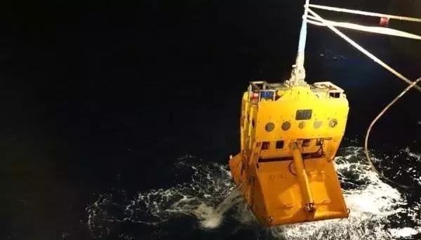 中国人最遭老外妒忌的种族技能--种菜